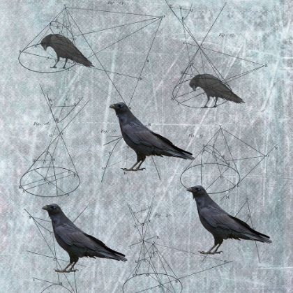 Picture of FIVE CROWS