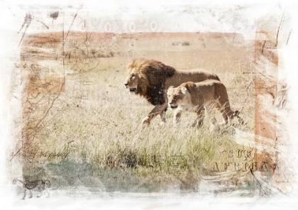 Picture of LION COUPLE