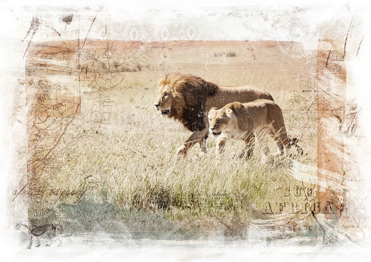 Picture of LION COUPLE