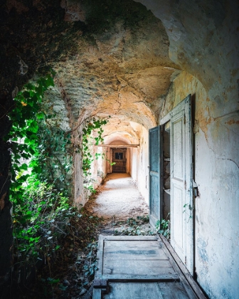 Picture of MOODY MONASTRY