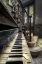 Picture of MUSIC MAESTRO