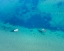 Picture of NATURE FROM ABOVE XV