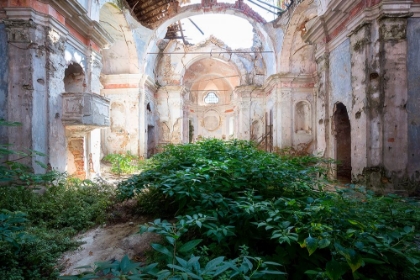 Picture of NATURE TAKING OVER CHURCH