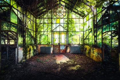 Picture of OVERGROWN GREENHOUSE