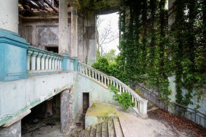 Picture of OVERGROWN STAIRCASE