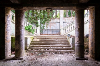 Picture of OVERGROWN STAIRS