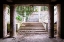 Picture of OVERGROWN STAIRS