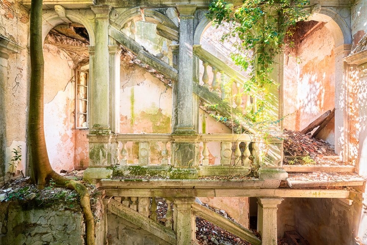 Picture of POETIC VILLA RUIN