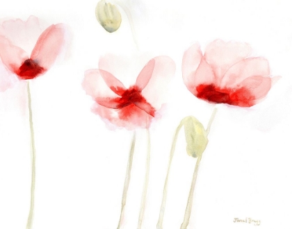 Picture of POPPIES FROM MEMORY