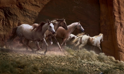 Picture of RED ROCK RUNNERS