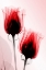 Picture of ROSES I