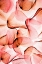 Picture of ROSES II