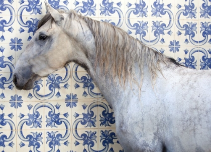 Picture of TILED HORSE