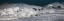 Picture of WILD WAVES I