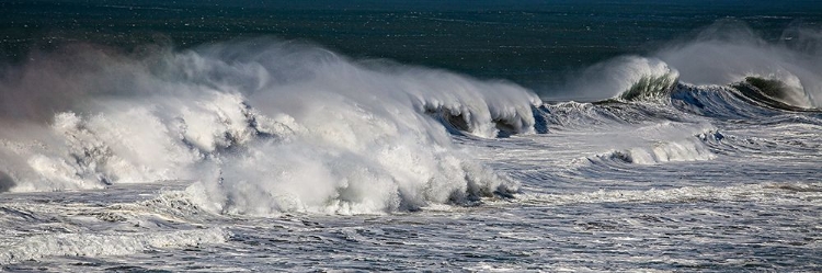 Picture of WILD WAVES I