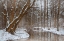 Picture of WINTER CREEK