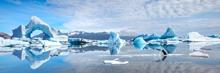 Picture of ANTARCTICA