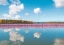 Picture of FLAMINGOS REFLECTION - CAMARGUE - FRANCE