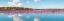 Picture of FLAMINGOS REFLECTION - CAMARGUE - FRANCE (DETAIL)