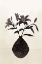Picture of FLORES II