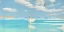 Picture of FLYING ON THE WATER (DETAIL)