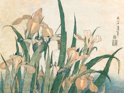 Picture of IRISES AND GRASSHOPPER - 1833-1834