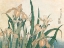 Picture of IRISES AND GRASSHOPPER - 1833-1834