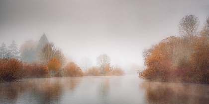 Picture of MISTY AUTUMN POND