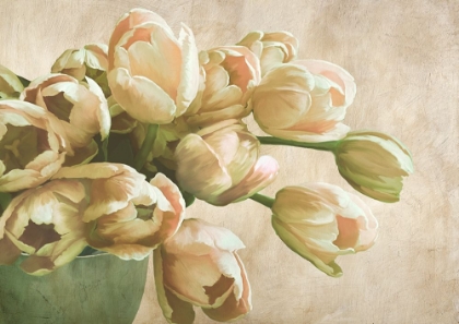 Picture of MODERN TULIPS