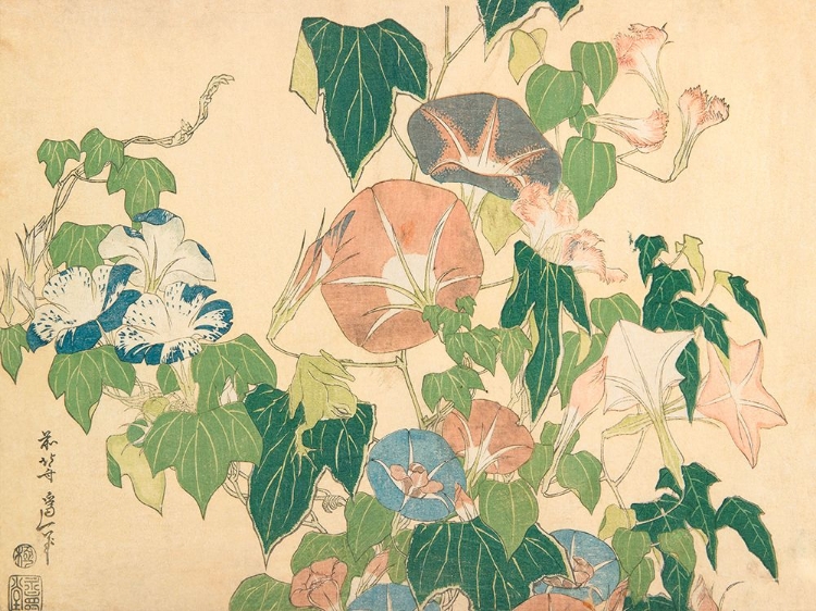 Picture of MORNING GLORIES AND TREE FROG - 1833-1834