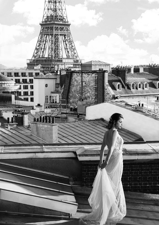 Picture of ON THE ROOFS IN PARIS