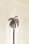 Picture of PALMERA III