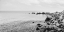 Picture of PEBBLES ON THE BEACH (BANDW)