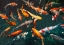 Picture of POND WITH KOI-FISH