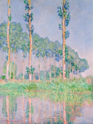 Picture of POPLARS - PINK EFFECT - 1891