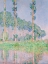 Picture of POPLARS - PINK EFFECT - 1891
