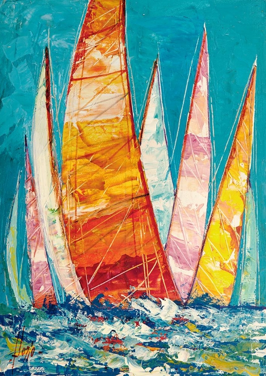 Picture of REGATA COLORATA