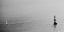 Picture of SMOOTH SAILING