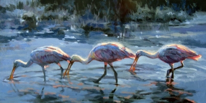 Picture of SPOONBILL LATE FEEDING