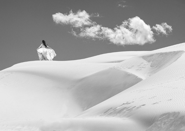 Picture of WHITE SANDS