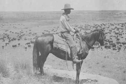 Picture of A TEXAS COWBOY