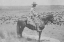 Picture of A TEXAS COWBOY