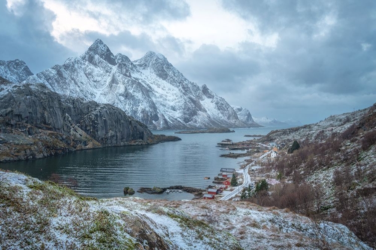 Picture of ARTIC HARBOR