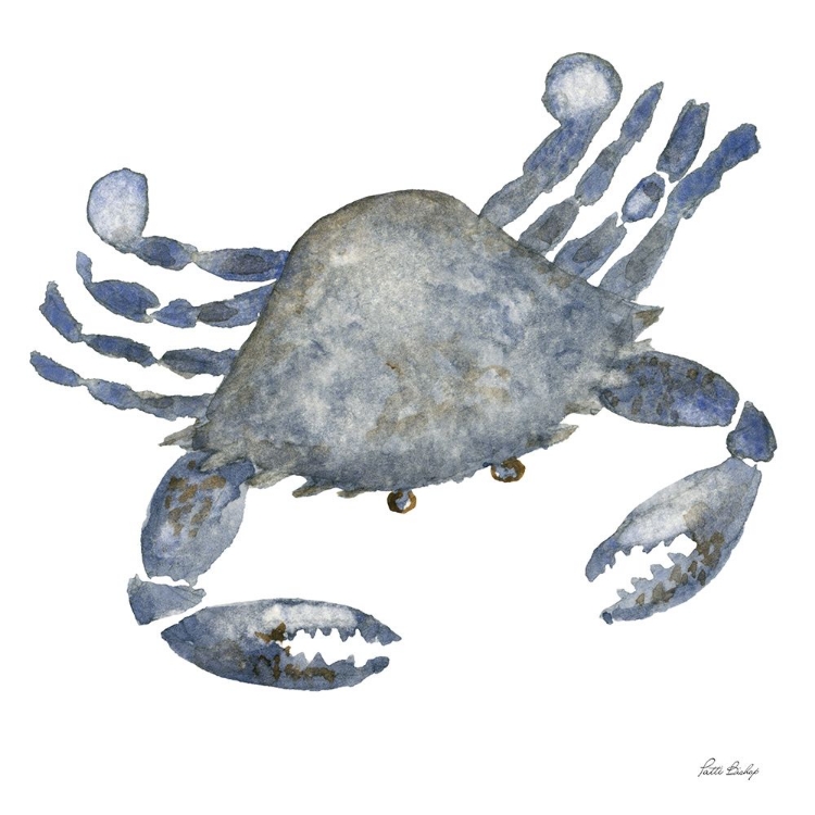 Picture of BLUE CRAB