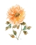 Picture of BRIGHT BOTANICAL I