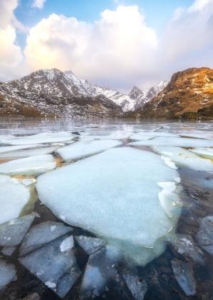 Picture of BROKEN ICE