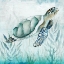 Picture of COASTAL TURTLE I