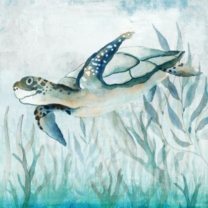 Picture of COASTAL TURTLE II