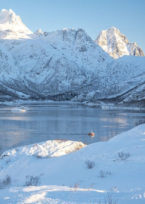 Picture of COLD FISHING