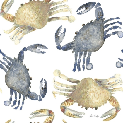 Picture of CRABS PATTERN